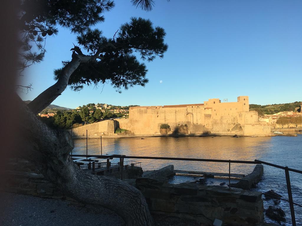 Un Balcon Sur La Mer Port Vendres Exteriér fotografie